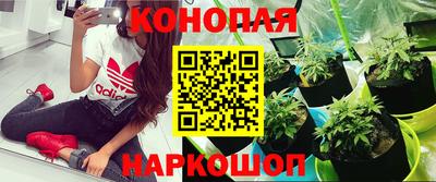 ешки Бузулук