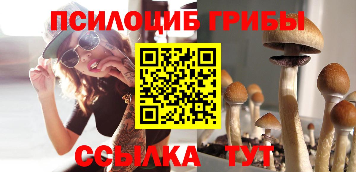 Щёкино  Галлюциногенные грибы Psilocybe  Вход с VPN  Галлюциногенные грибы мухоморы 