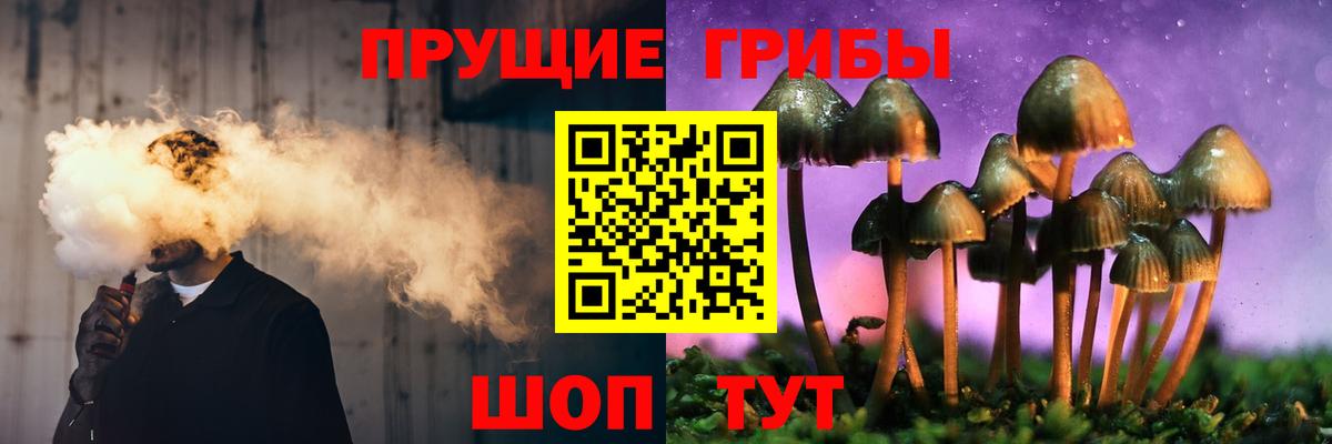 Псилоцибиновые грибы Magic Shrooms Щёкино